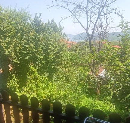 Golubac House | Mihy