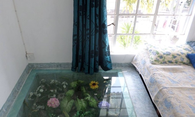 Calodyne House | MIMOSAS ROOM *