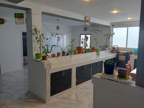 Mansourah Apartment | MK Heberg