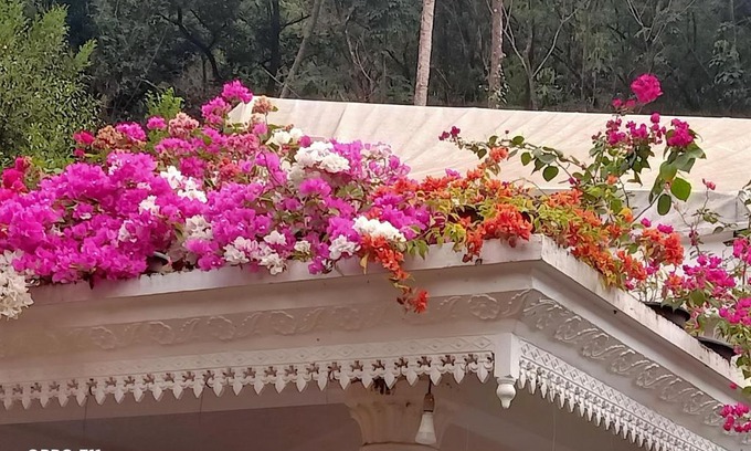 Kedavur House | Moon moon Garden