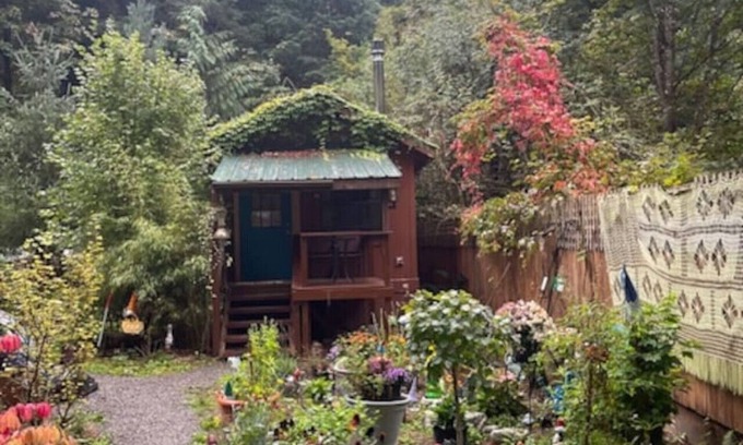 Marblemount Cabin | Mystic Ivy on the Cascade River
