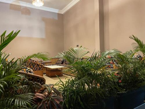 Yaounde Apartment | Nguem's Appart