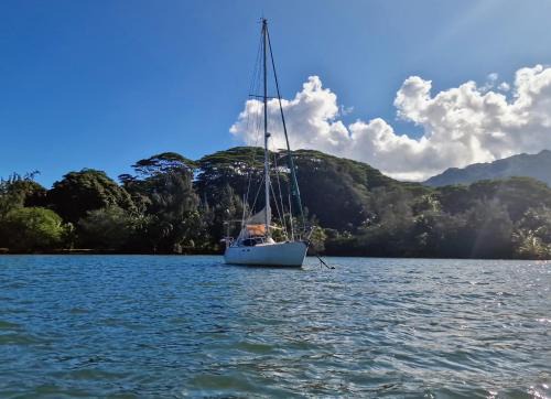Taravao Boat Rental | Nuit insolite sur voilier avec vue mer