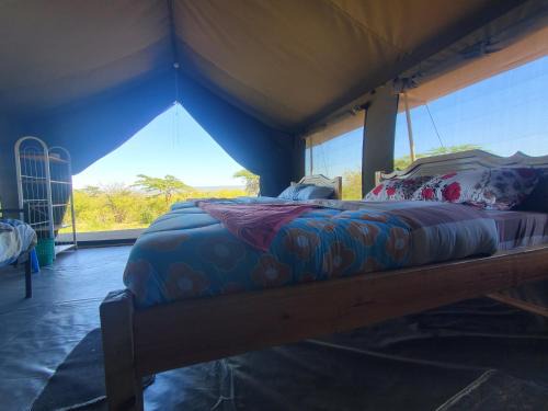Maasai Mara Bed & Breakfast | Nyangulo maasai mara safari camp