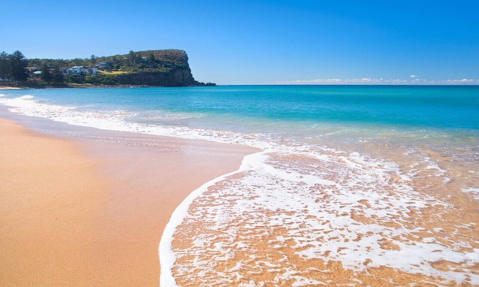 Avalon Beach Apartment | Ocean Vistas - Walk to Beach