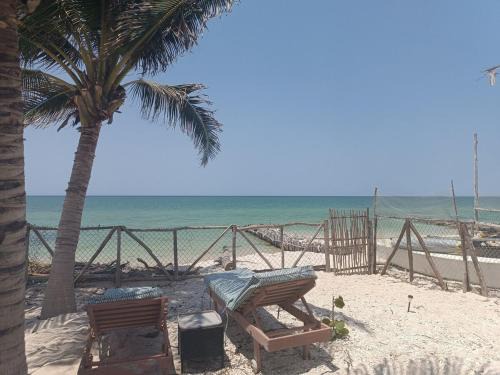 Chelem Apartment | Oceanfront Living!