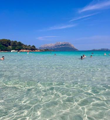 Olbia Apartment | Olbia 53-11