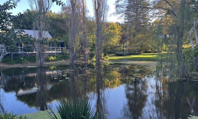 Tilba Tilba Apartment | Olive Tree cottage