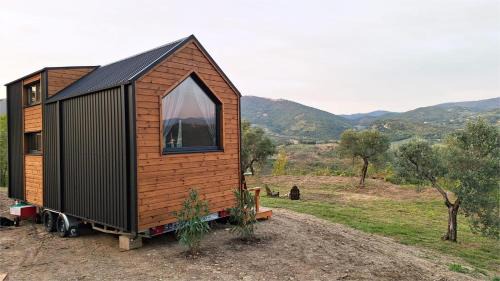 Mompeo House | Olivo Nomade X by Tiny Away