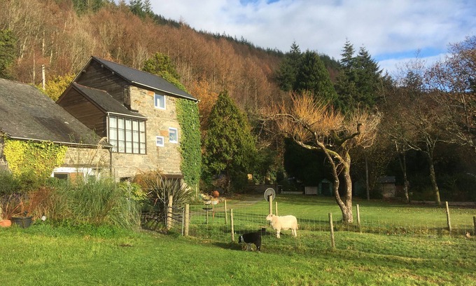 Llanelltyd Cottage | On Mawddach estuary Snowdonia pets welcome Certificate of Excellence Tripadvisor