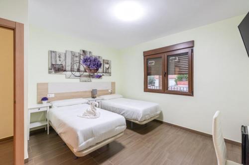 Alovera House | Otero & Elma 2