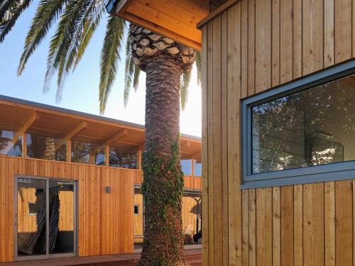 Milnerton Apartment | Palm and Pine Cottage