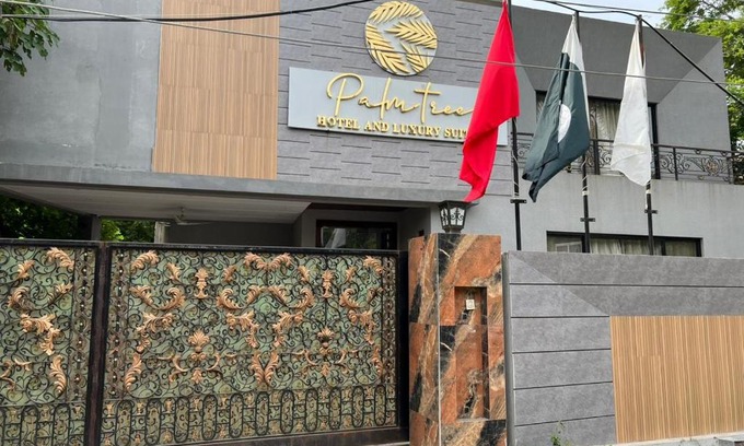 Lahore Hotel | Palm tree Hotel