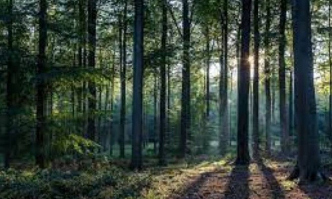 Sauble Beach House | Peaceful House