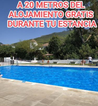 El Bosque Apartment | Pet Friendly Apto El Sendero