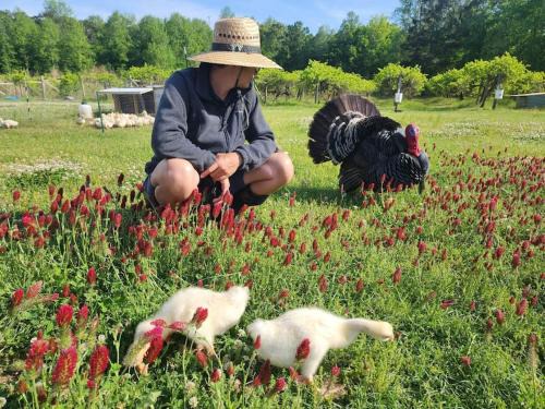 Ernul House | Phoenix Farms Vineyard