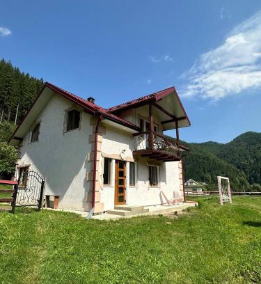 Dobrovelychkivka Apartment | Pink House Karpaty