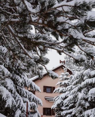 Risovac Ski Chalet | Planinska kuća Munika