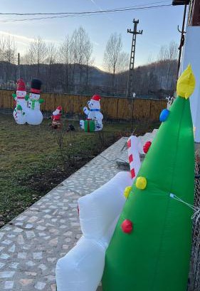 Bodesti Villa | Poama villa