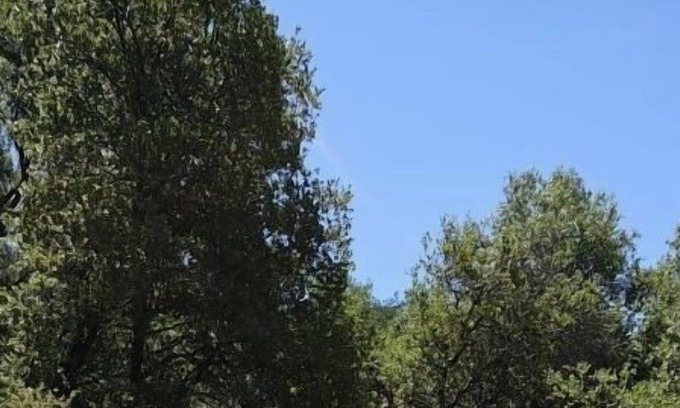 Coulterville RV Rental | Point Skyfall