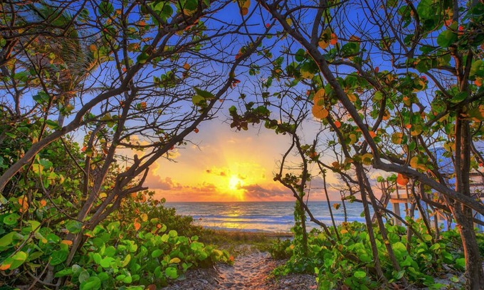 Bella Vista Condo | Practically on the beach; short walk across Carlin Park to the sand! β€οΈππ