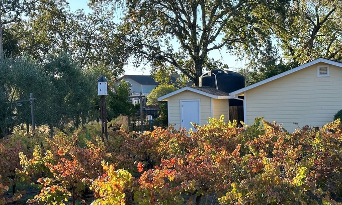 Windsor Cottage | Private Cottage 5 minutes from Downtown Healdsburg and Windsor on country lane