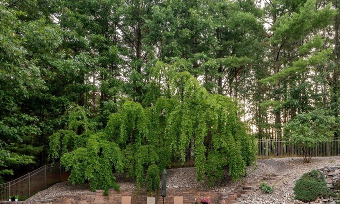 Saratoga Springs House | Private Heated Pool on 2 acres
