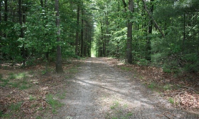 Blairsville Cabin | Private, Secluded, Relaxing Cabin. 033600nAsk about out WEDDING OPPORTUNITIES