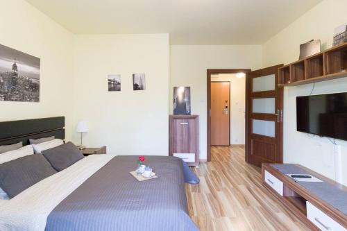 Pradnik Czerwony Apartment | Przytulny apartament z parkingiem blisko Tauron Areny