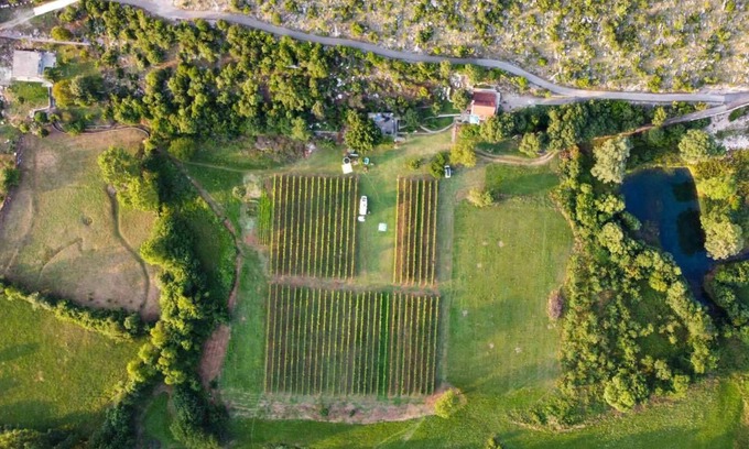 Pricelje RV Rental | Purple Eye Estate - Camp & Winery (Jokaš)