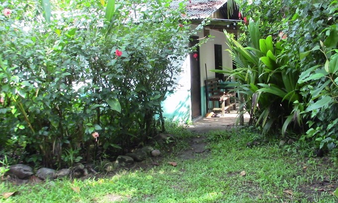 Tres Rios Cabin | Quaint Little Cabina Located near all Services, Nestled in a Jungle Environment