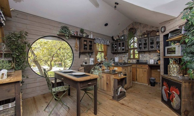 San Jose House | ★ Quinta Pavo Real - The Magic Tree House