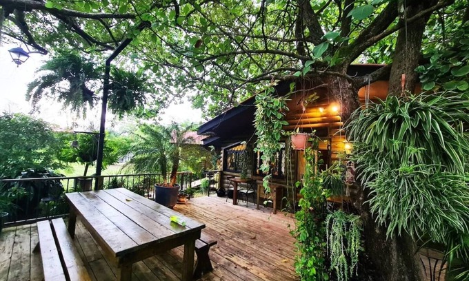 San Jose House | ★ Quinta Pavo Real by AcoModo - The Enchanted House