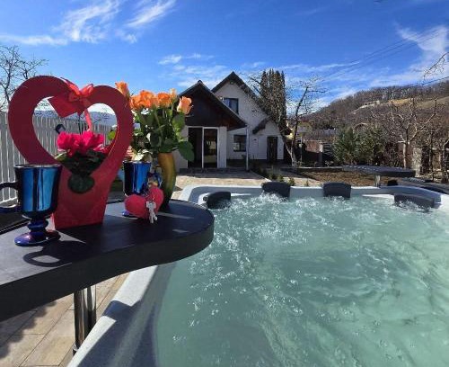 Cisnadioara Villa | Raim Haus