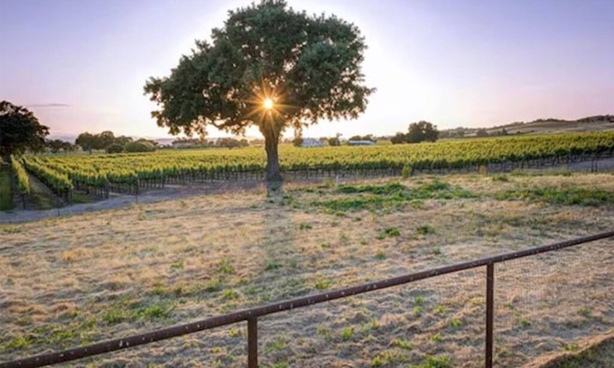 Paso Robles House | Ranch Lifestyle Tiny Home