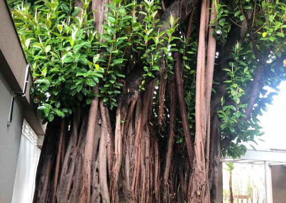 Zona Leste Apartment | Red Tatuapé