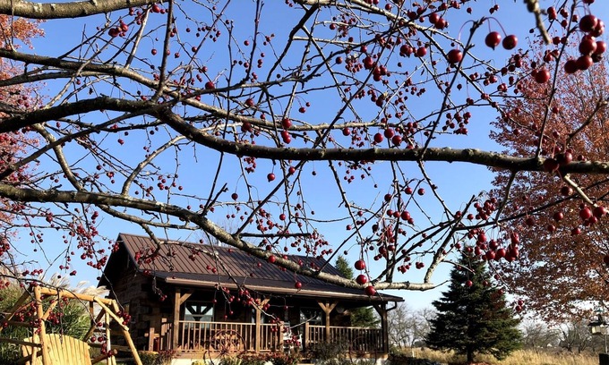 Clayton Cabin | Redbird Ridge Cabin with View