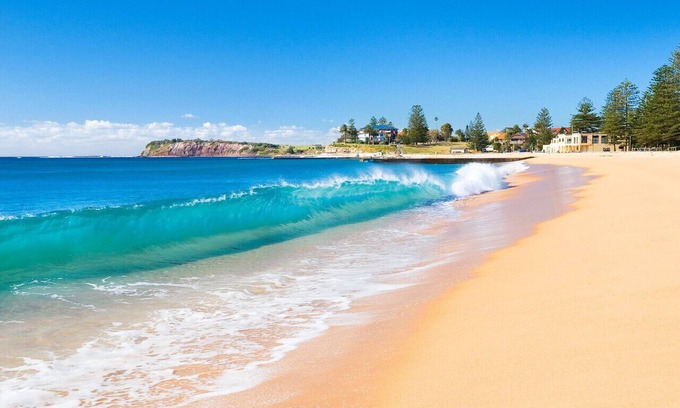 Narrabeen Apartment | Royal Surf - Direct Beachfront