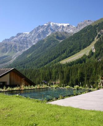 Stelvio Apartment | Rumwaldhof - Wohnung Edelweiß