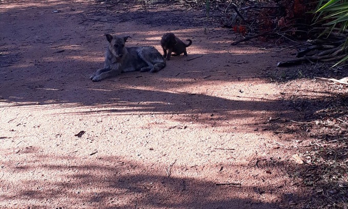 Bari Sardo House | Rustic author