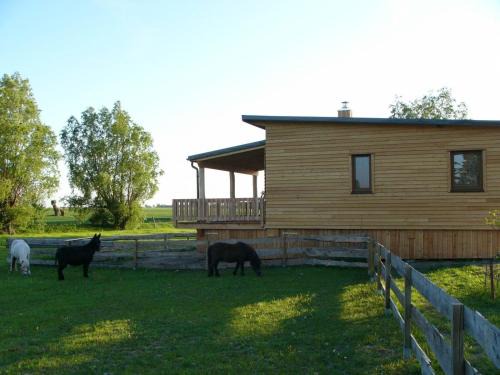 Saal House | Rustikales Holzferienhaus mit großer Terrasse