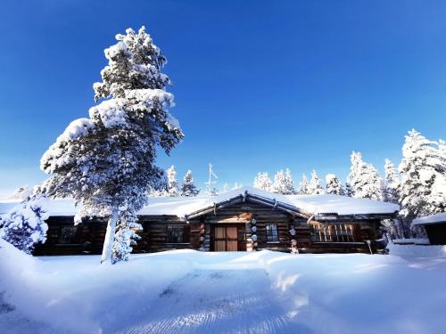 Saariselka Ski Chalet | Saarikejo Huskylodge