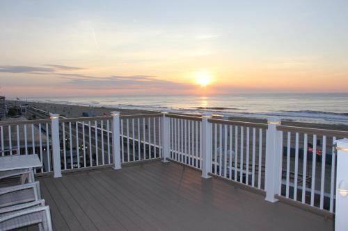 Ocean City Hotel | Safari Hotel Boardwalk