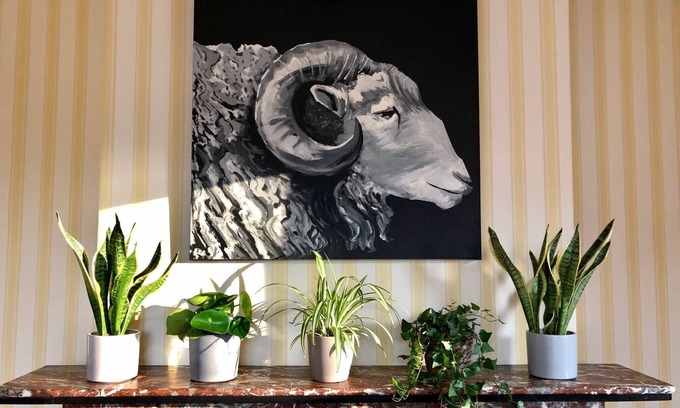 Keswick Bed & Breakfast | Salisbury Guest House