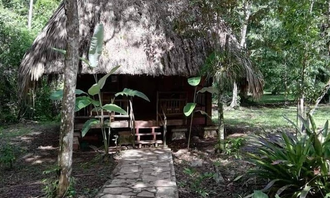Lacanja Cabin | Santuario Zona Lacandona