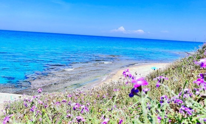 Lu Bagnu Apartment | Sea View House 4, Panorama, Nature, Sun, Peace
