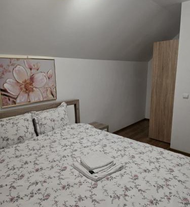 Barlad Apartment | sebas
