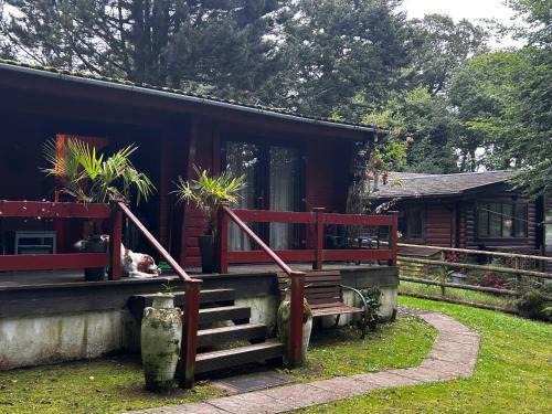 Holsworthy House | Secluded Lodge Escape in Bradworthy North Devon