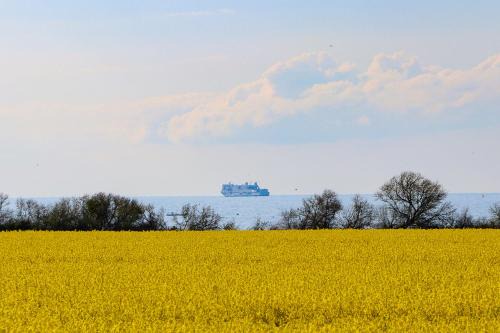 Nienhagen Apartment | Seeadler