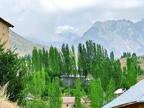 Kashkadarya Province House | Shahzod Guesthouse & Homestay